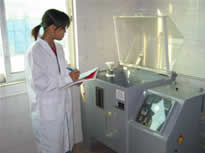 Salt Spray Test Chamber 